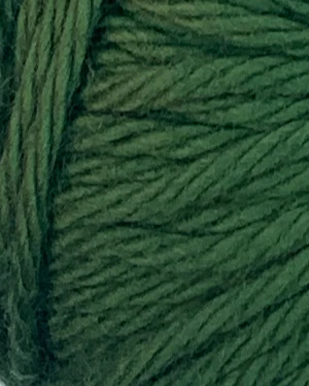 Fiddlesticks Finch