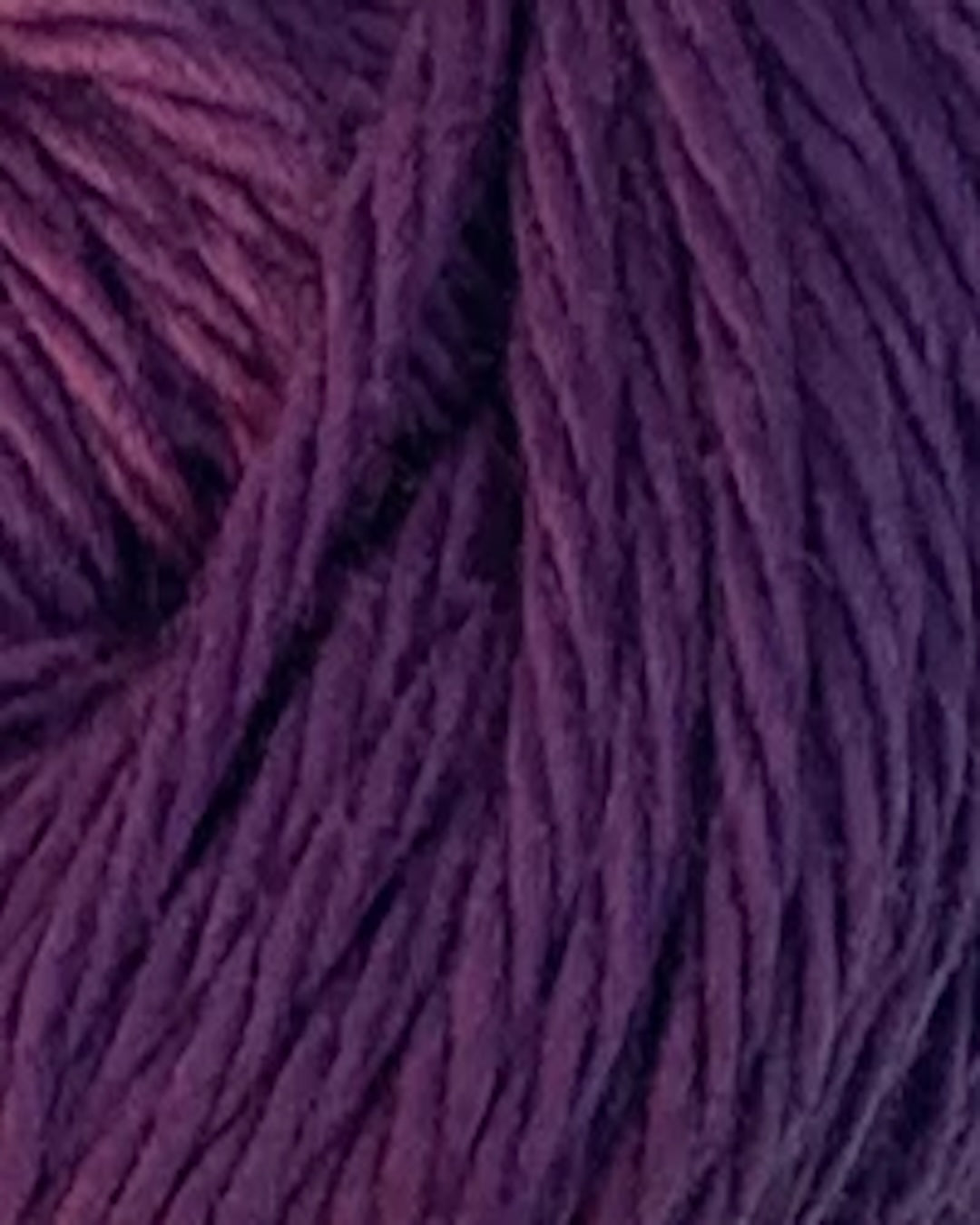 Fiddlesticks Finch