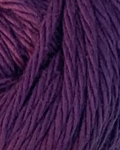 Fiddlesticks Finch