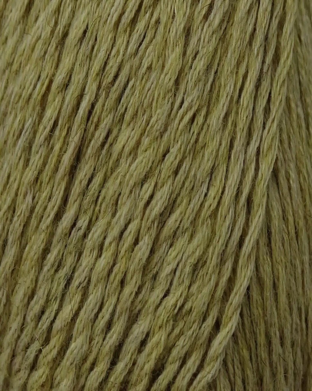 Zealana Kiwi Fingering Weight (4ply)