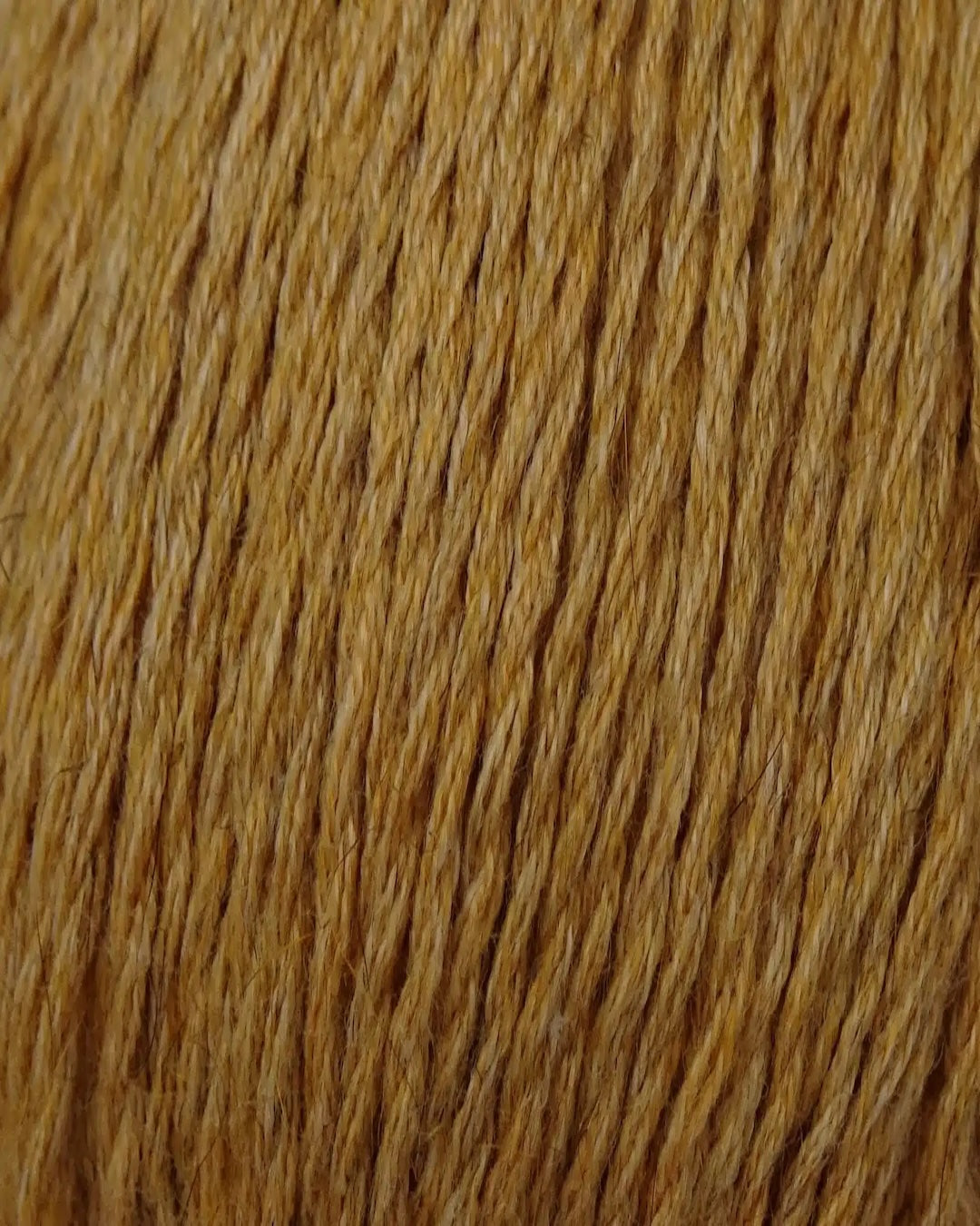 Zealana Kiwi Fingering Weight (4ply)