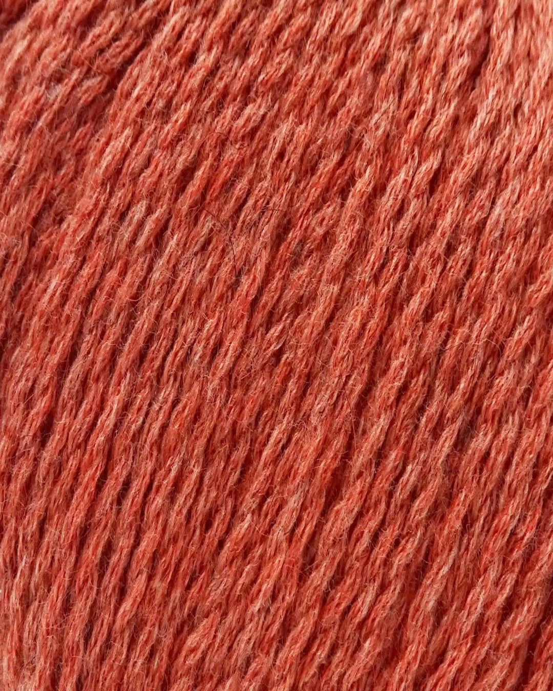 Zealana Kiwi Fingering Weight (4ply)