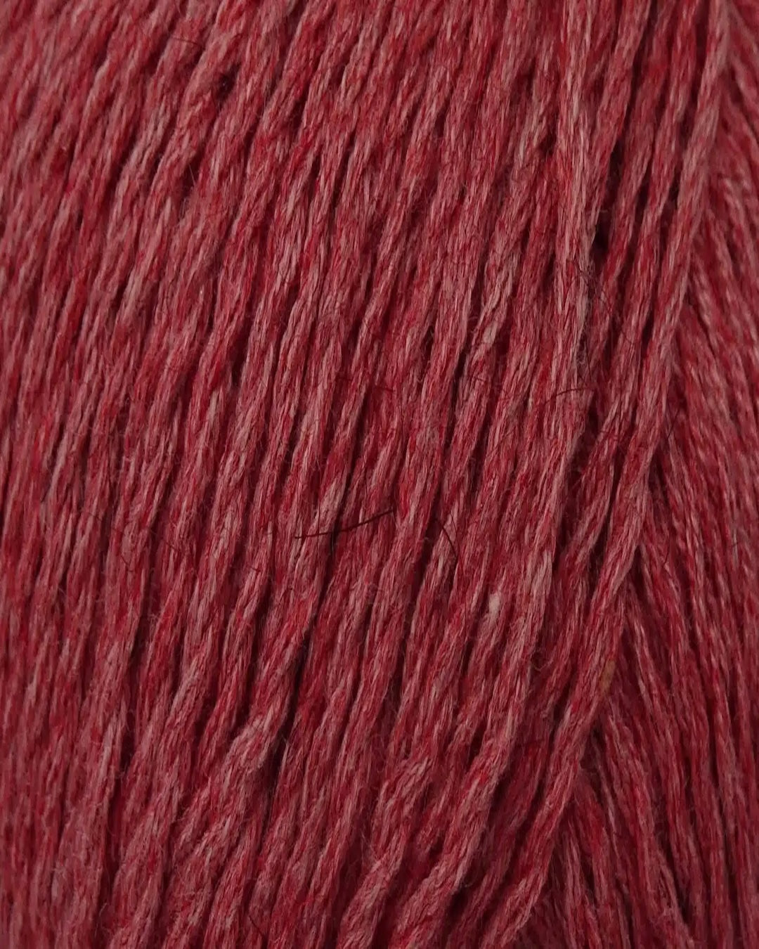 Zealana Kiwi Fingering Weight (4ply)