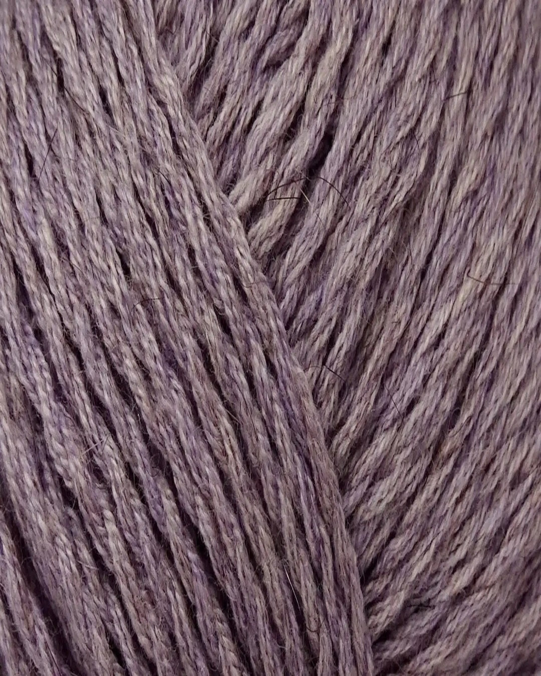 Zealana Kiwi Fingering Weight (4ply)