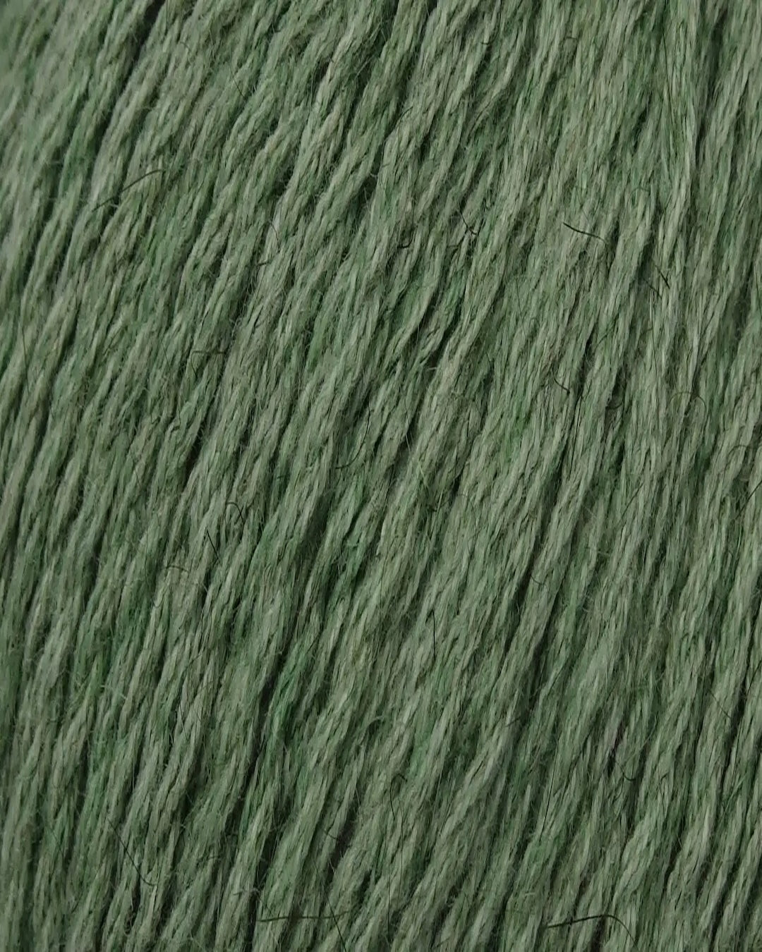 Zealana Kiwi Fingering Weight (4ply)