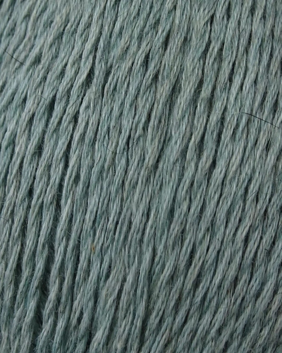 Zealana Kiwi Fingering Weight (4ply)