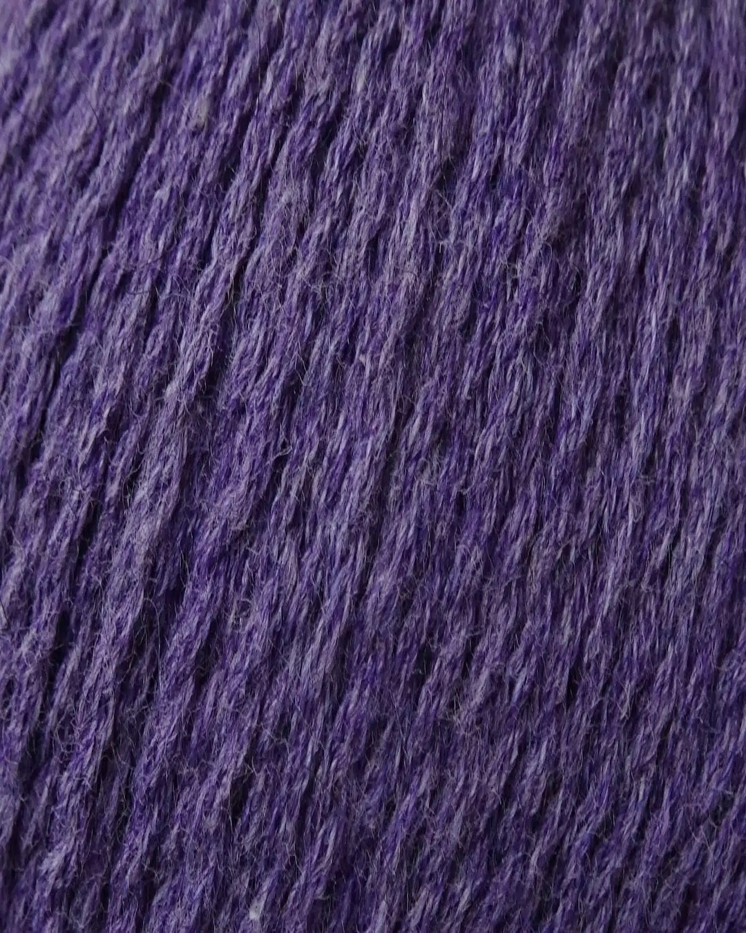 Zealana Kiwi Fingering Weight (4ply)
