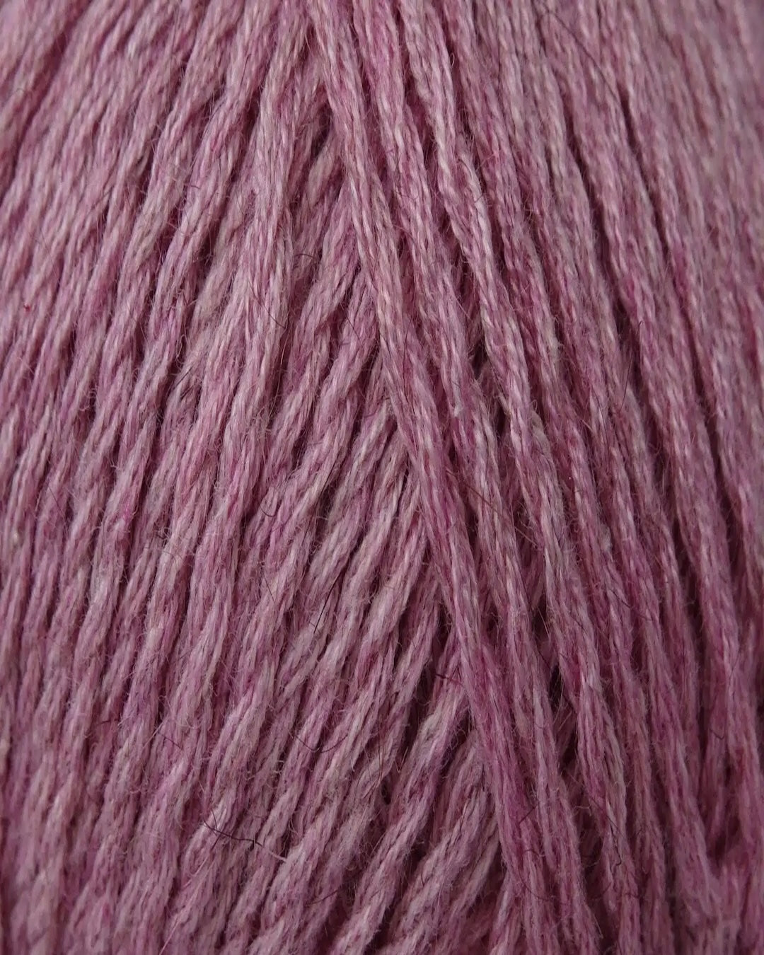 Zealana Kiwi Fingering Weight (4ply)