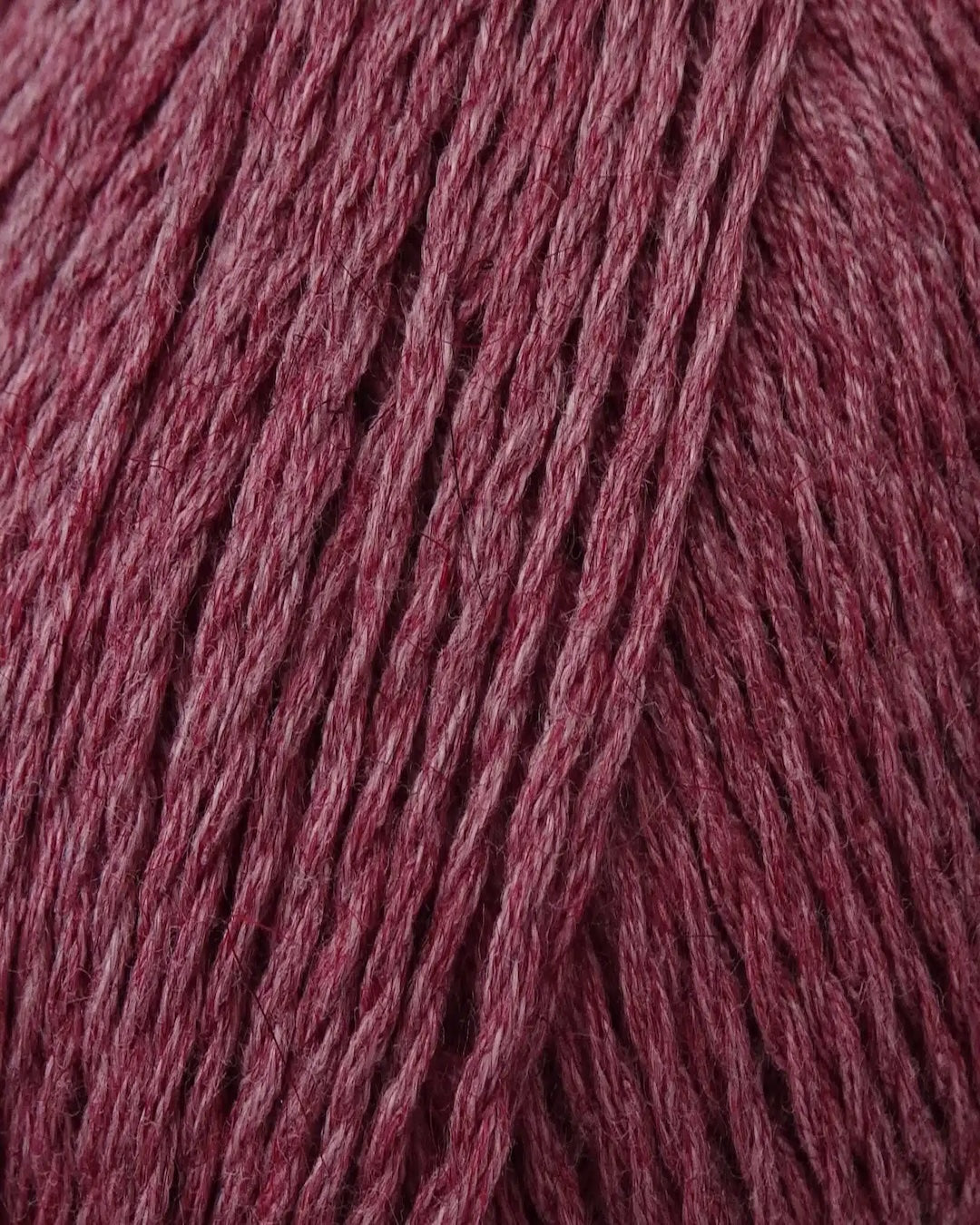 Zealana Kiwi Fingering Weight (4ply)