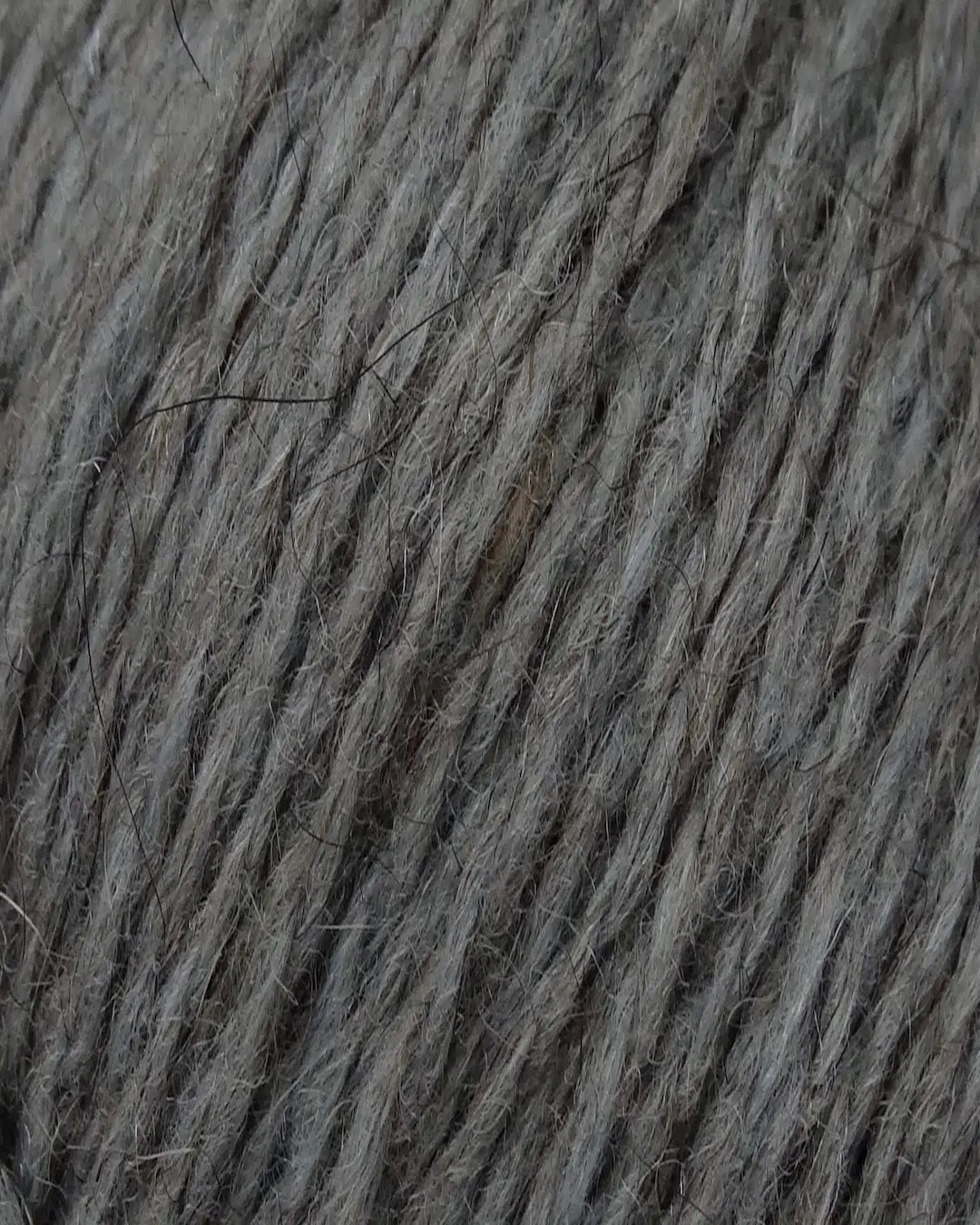 Zealana Kiwi Fingering Weight (4ply)