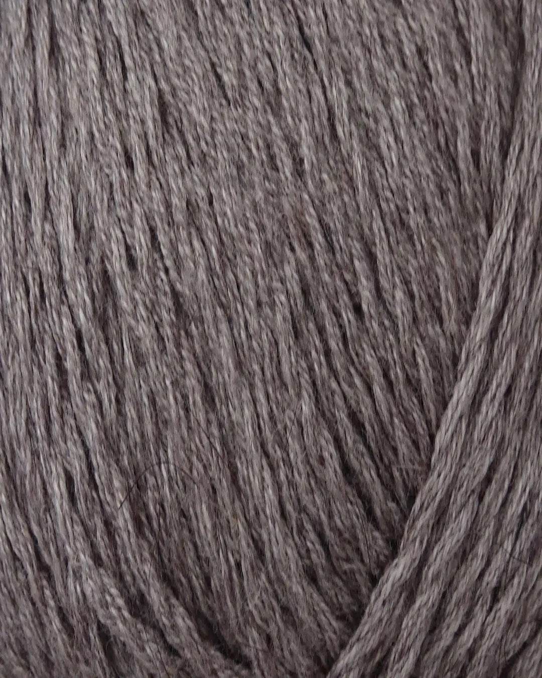 Zealana Kiwi Fingering Weight (4ply)
